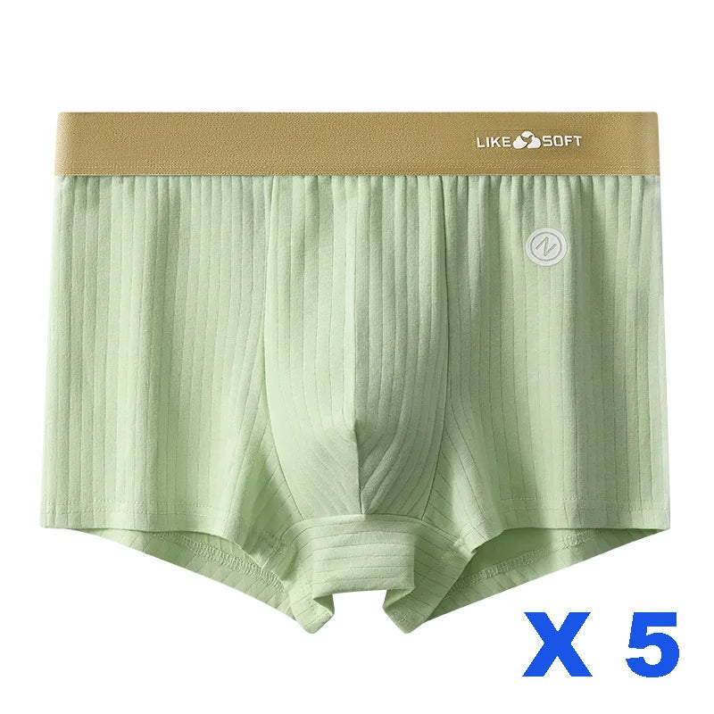 Pack de 5 Bóxers Premium a Rayas para Hombre  Linden