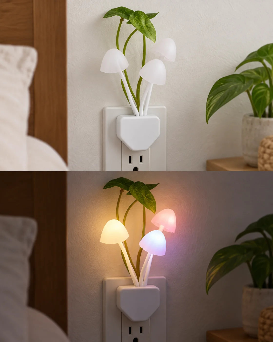 La misma lámpara conectada de día sin luz y de noche con sus hongos iluminados
