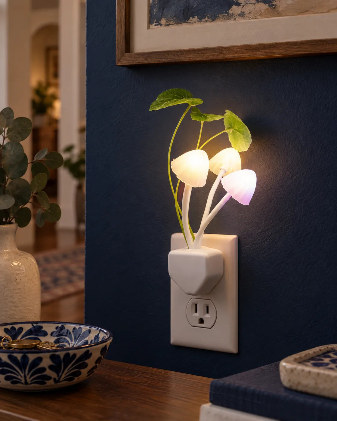Luz de hongos en un contacto interior seco